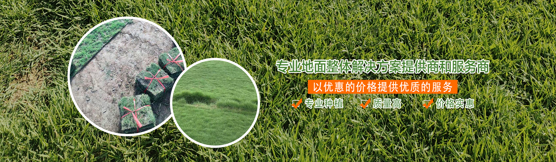 第三组广告